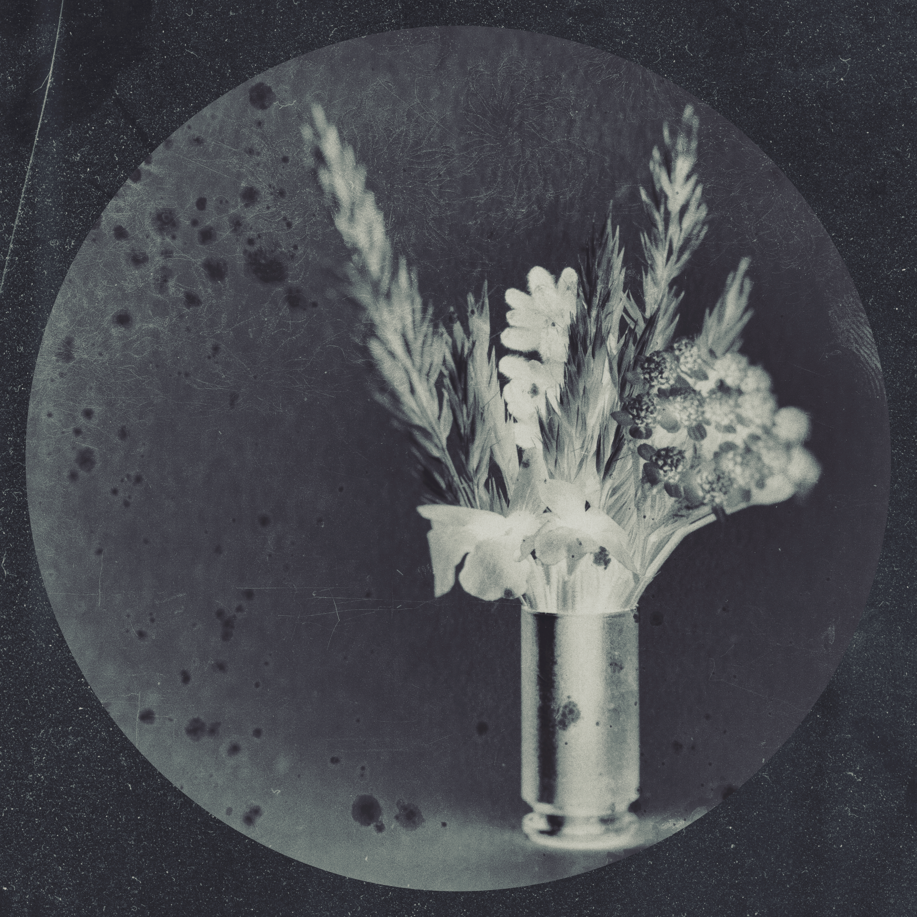 01-robert-matejcek.gif